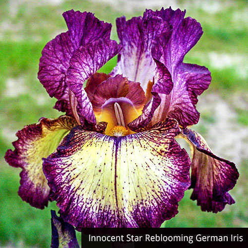 3_3a618721-7460-46a5-89fa-