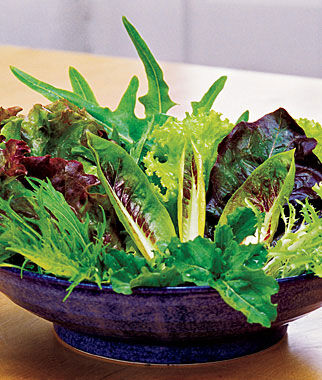 Mesclun, Salad Fresh Cutting Mix - Plants Seeds