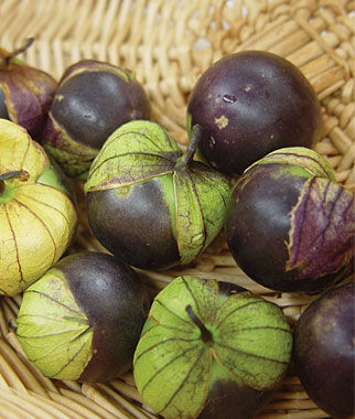 Tomatillo, Purple Organic - Plants Seeds