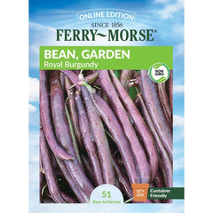 Bean, Royal Burgundy Seeds, 22.8g