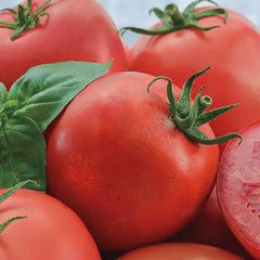 Easy Slice™ Hybrid Tomato (Pkt of Approx. 15 Seeds)