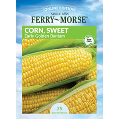 Sweet Corn, Early Golden Bantam Seeds, 17.5g
