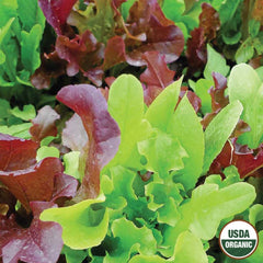 Lettuce, Gourmet Blend Organic Seeds, 1.2g