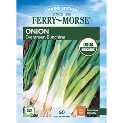 Onion, Evergreen Bunching Organic Seeds, 1.2g