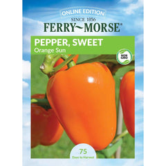Pepper, Orange Sun Seeds, 500mg