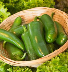 Jalapeno M Pepper 50 Seeds