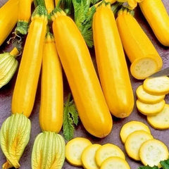 Golden Zucchini Seeds