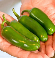 Jalapeno M Pepper 50 Seeds