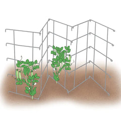 Pea Fence - Plant Trellis