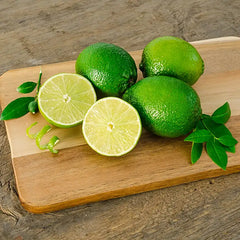 Dwarf Key Lime Tree