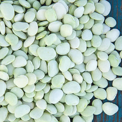 Baby Thorogreen Lima Bean Seed