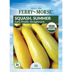 Squash, Early Prolific Straightneck Organic Seeds, 5.3g
