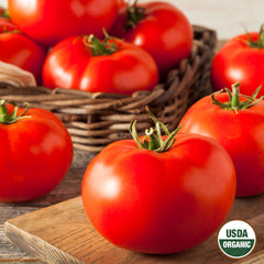 Tomato, Beefsteak Organic Seeds, 300mg
