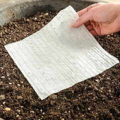 Cherry Belle Radish Seed
