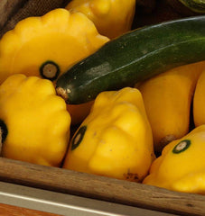 Sunburst F1 Summer Squash 10 Seeds - Seedsplant