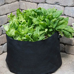 Grow Tub® 7 Gallon Garden Container