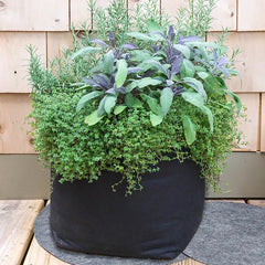 Grow Tub® 7 Gallon Garden Container