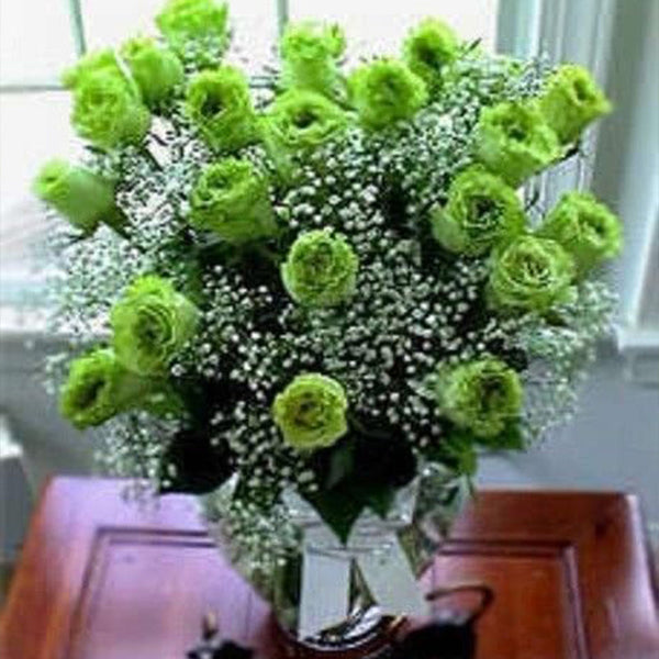 Green Rose Rosa Bush Shrub Perennial Flower Seeds