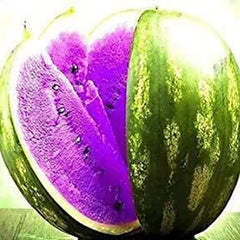 Watermelon Fruit Vegetable Seeds for Planting Violet
