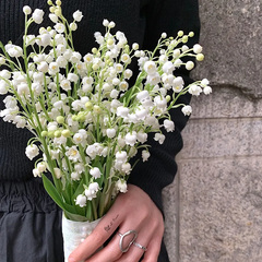 Lily of the Valley Seeds
