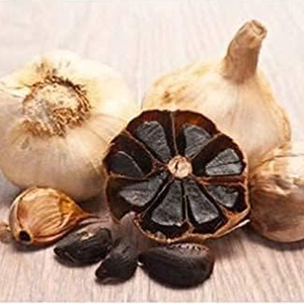 Black Garlic Seeds Organic Vegetables