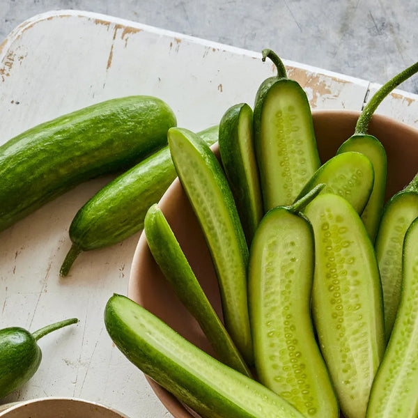 Cucumber, Mini, Party Time Hybrid