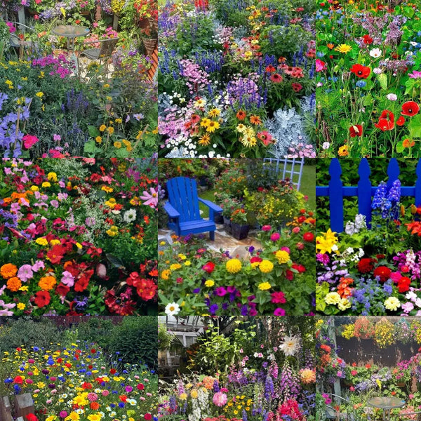 Mixed Perennial Flowers Seeds