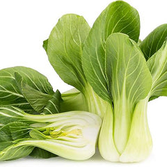 Baby Bok Choy Seeds Shanghai Green Stem AKA Pak Choi Pok Choi Chinese Cabbage