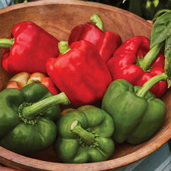 Pepper, Sweet, California Wonder