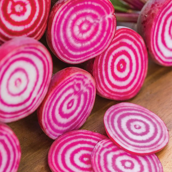 Beet, Chioggia