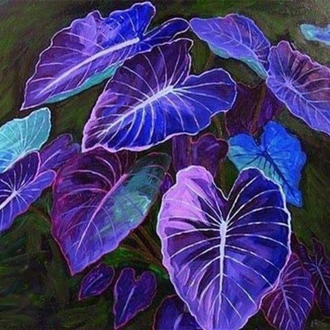 Blue Caladium Bicolor Flower SeedsCut Flower Gardens