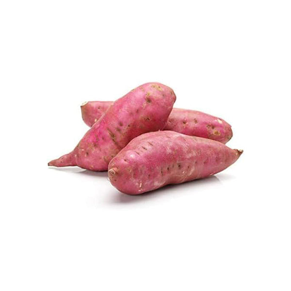 Fresh Sweet Potato Vegetable Seeds