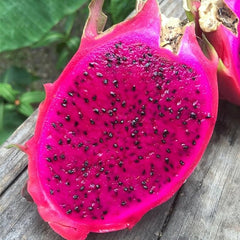 Red Dragon Fruit Seeds Pitaya Pitahaya Hylocereus Undatus Cactus Grow Rare