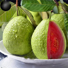 Guava Fruit Tree Seeds for Planting - Exotic and Delicious Tropical Fruit. Great for Live Indoor Bonsai Tree - Fruit Seed for Sewing