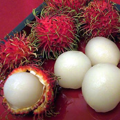 Fresh Rambutans Fruit Seeds