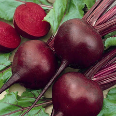 Organic Detroit Dark Red Beet Garden Seeds for Growing Microgreens, Vegetable Gardening