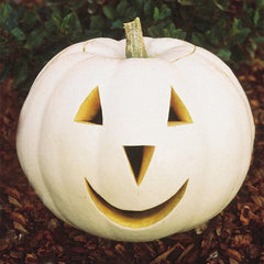 Pumpkin, Lumina