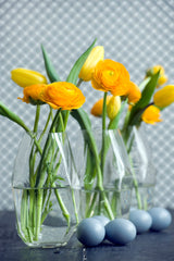 Gold Ranunculus Corms Bulbs Persian Buttercup Growing Bonsai Roots Rhizomes Tubers Potted Planting Reblooming Fragrant Garden Species Blooms Flower Seeds Plant Gardening