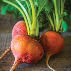 Beet