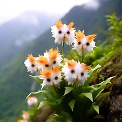 Amazing plants! Cat's eye dazzle