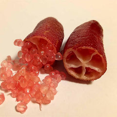Finger Lime Seeds Citrus Australasica Caviar Lime  Garden Outdoor