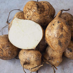 Jicama Seeds Heirloom Mexican Yam Bean Non-GMO Mexican Turnip Seeds Fresh Garden Seeds