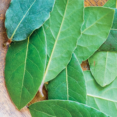 Bay Laurel