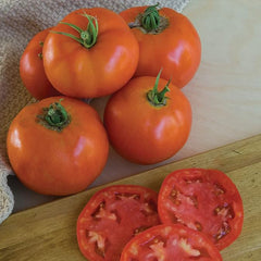 Super Beefsteak, Red Beefsteak Slicing Tomato