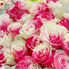 Fuchsia White Rose Seeds