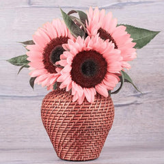 Pink Sunflower Seeds for Planting, Easy to Plant and Grow, Outdoor Garden and Bonsai Plants Helianthus annuus Seeds
