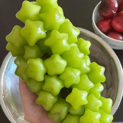 Hot Sale Rare And Beautiful Breed Star Grape Seeds