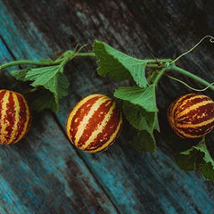 Rich Sweetness Melon ,Unique Striped Melon Variety, Sweet White Flesh Tastes Like Cantaloupe