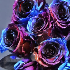 Starry Sky Roses