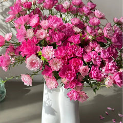 Lotus Star Rose Seeds: Blooming All Year, Bringing Continuous Good Fortune